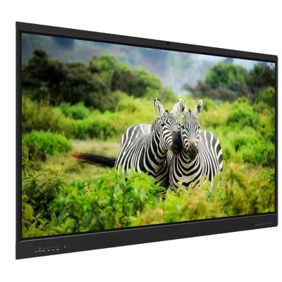 75 Zoll interaktives Flachbildschirm-Smart-TV mit Touchscreen (Einsteigerklasse)