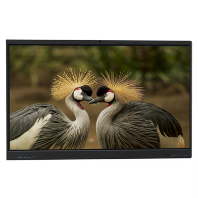 Hersteller IBoard 65 Zoll interaktives Whiteboard Smart Board interaktives Flachbildschirm Smart Digital Touchscreen Dual-System für Schulunterricht Büro