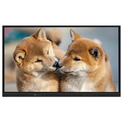 75 Zoll interaktives, flaches Smart Board mit Android 15 und WiFi 6 für Schulen und Büros