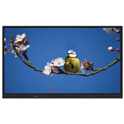 EDLA Smart Touch Monitor 65 Zoll Multi-OS-Unterstützung für Lehre und Besprechungen