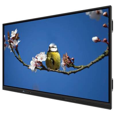 EDLA Smart Touch Monitor 65 Zoll Multi-OS-Unterstützung für Lehre und Besprechungen