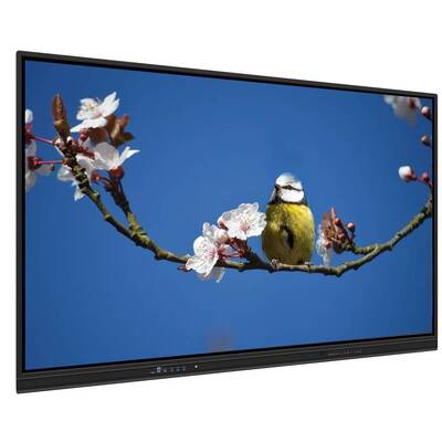 EDLA Smart Touch Monitor 65 Zoll Multi-OS-Unterstützung für Lehre und Besprechungen