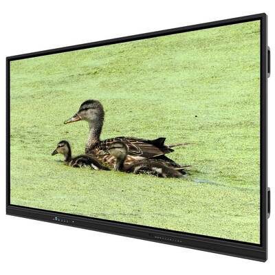 75 Zoll All-in-One Interaktives Whiteboard Smart Boards für Schulbüro Konferenz