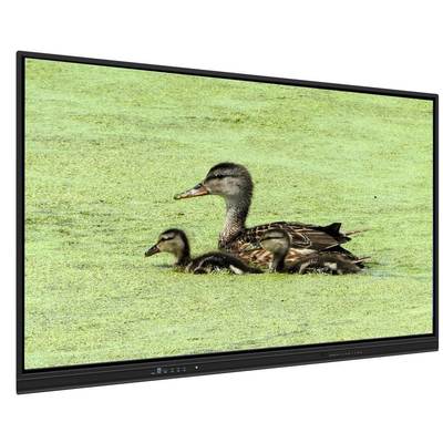 65 Zoll All-in-One Interaktives Whiteboard mit 8+128G Speicher und Infrarot-Touch für Unterricht und Besprechungen