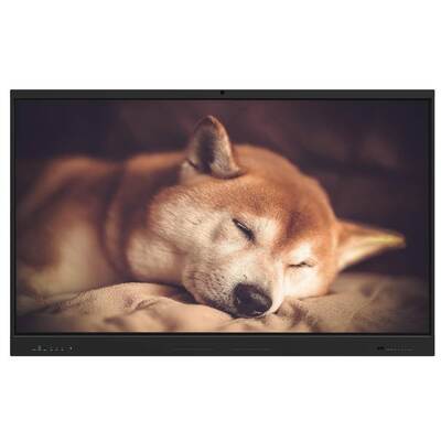 65-Zoll-interaktives Flachbildschirm mit Android 14 und 8+128G RAM für Schul- und Bürobesprechungen