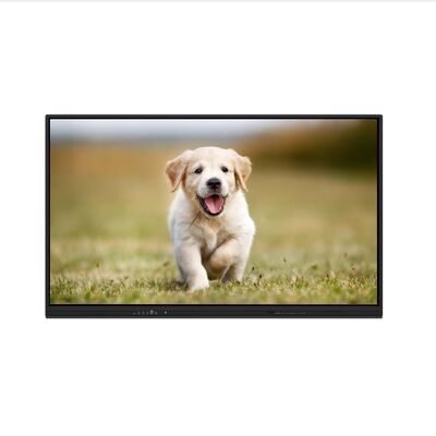 iBoard Interaktives Whiteboard Android 16 EDLA zertifiziert Interaktives Flat Panel