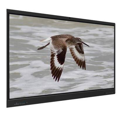 Iboard Interaktives Whiteboard Android 15 EDLA mit 65-Zoll-Panel für E-Learning