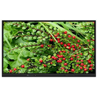 65 75 86 Zoll LED Interaktives Whiteboard mit 2x15W Lautsprechern Horizontale Ausrichtung Wandmontage für Heimunterricht Konferenzen Zoom-Meetings