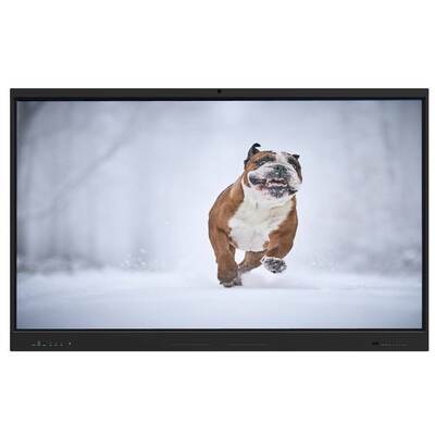 Iboard 75 Inch USB HDMI Smart Touch Panel Record Camera Mic Software For Class