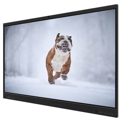 75 Zoll 16,7M Displayfarben Interaktiver Touchscreen-Monitor mit 50 Punkten, 4+32G/8+128G optionalem RAM und ROM für Universitäts- und Schulunterricht im Großhandel