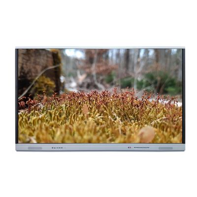 75" wechselwirkende wechselwirkende multi Noten-Anzeige HD Touch Screen Whiteboard 4K