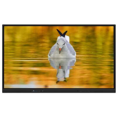 LED-Interaktives Whiteboard mit Android 14, ultrafeiner Infrarot-Touch-Funktion und optionaler Kamera und Mikrofon für Schulen und Meetings