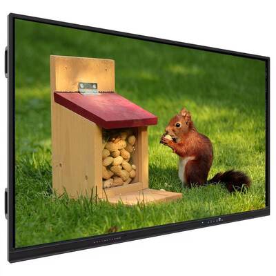 Interaktives Flachpanel mit Multi-OS-Kompatibilität und Stift-/Fingerberührung für Bildung in der Größe 1705,8*1013,5*88,9MM